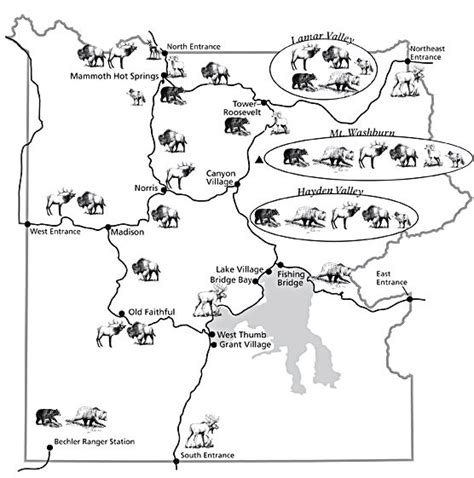 Worksheets to learn and practise english vocabulary, grammar and expressions, including crosswords, wordsearches, word games, tests and quizzes. 28 best images about Yellowstone Kids Activity Book on Pinterest | Activities, Word search and ...