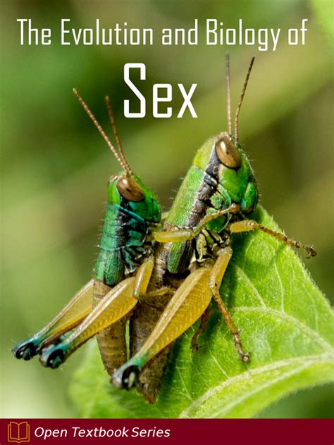 the evolution and biology of sex open textbook