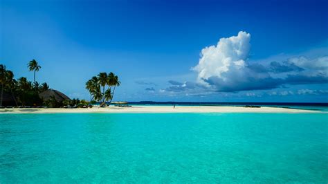 Beautiful Ocean View Palm Trees Hut Beach Water Under White Clouds Blue