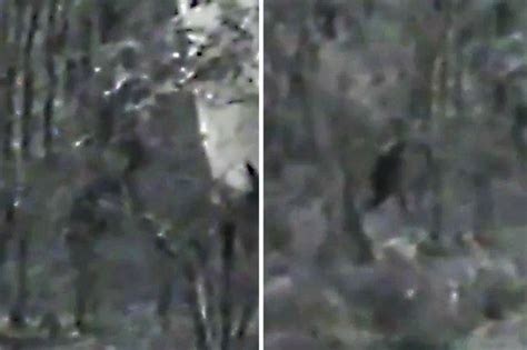 Australian Bigfoot Like Creature Caught On Camera In Credible Clip
