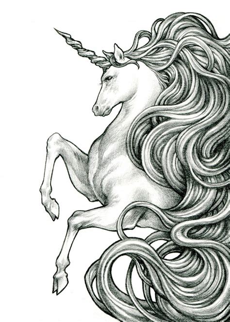 Unicorn Pencil Drawing By Bluessence On Deviantart
