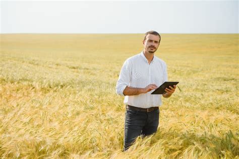 Wheat Farmer And Agronomist Inspecting Cereal Crops Quality In