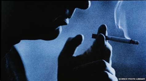 Smoking What It Does To The Body Bbc News