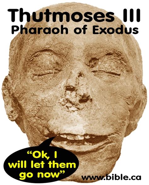 thutmoses iii was pharaoh of the exodus in 1446 bc