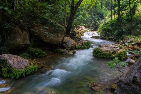 Nature Stream with rushing rapids image - Free stock photo - Public ...