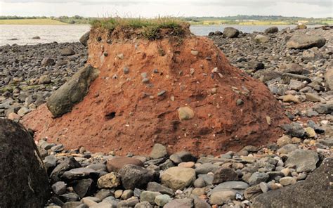 The Loughshore Rough Island Near Comber © Albert Bridge Geograph