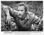 Richard Dreyfuss: The Rolling Stone Interview – Rolling Stone