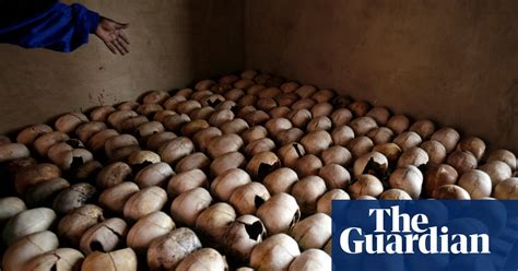 Americas Secret Role In The Rwandan Genocide News The Guardian