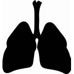 Respiratory System Icon Svg Onlinewebfonts