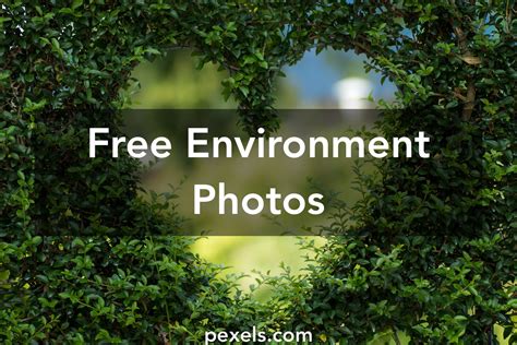 Free Stock Photos Of Environment · Pexels