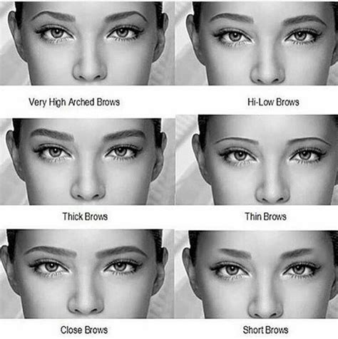 Pin By Tisha Prime On Eyes Types Of Eyebrows Different Eyebrow