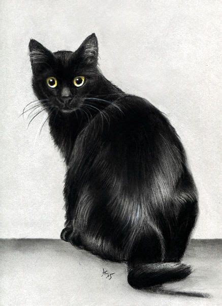Black Cat Original Charcoal Drawing By Award Winning Artist A C