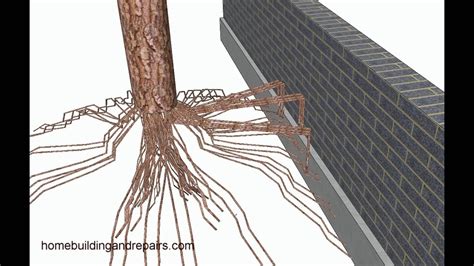 tree roots  move small retaining walls landscaping