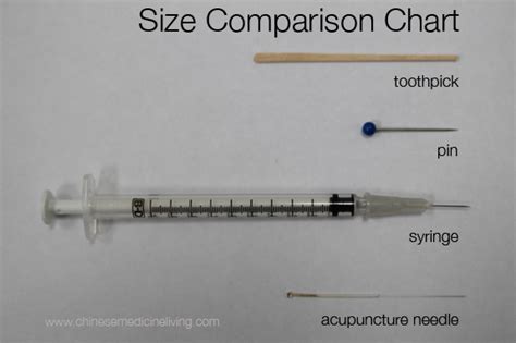 Anatomy Of An Acupuncture Needle Chinese Medicine Living