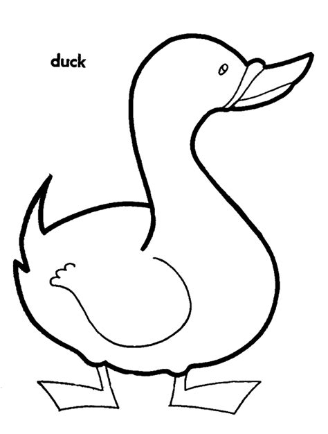Printable Duck Coloring Pages Coloring Home