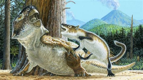 Dinosaur Vs Mammal Jaw Dropping Fossil Reveals Prehistoric Battle