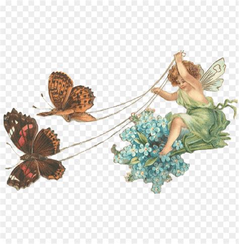 Fairy With Butterflies Png Transparent With Clear Background Id 76981