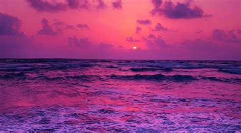 Horizon Pink Sunset Near Sea Wallpaper Hd Nature 4k Wallpapers Images
