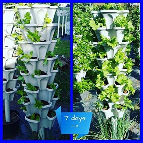 Mr Stacky 5 Tier Strawberry And Herb Garden Planter Stackable G