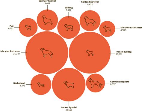 The Rise And Fall Of The Most Popular Dog Breeds Protectivity