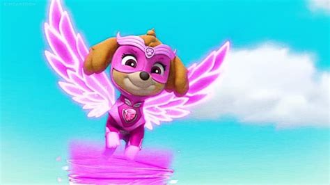 Skye Skye Paw Patrol Fan Art 42951290 Fanpop