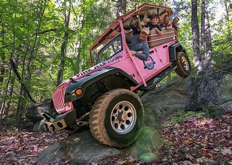In eukaryote cells, the chromosomes are contained within a membranous nuclear envelope. Foothills Parkway Smoky Mountains - Pink Jeep Tour ...