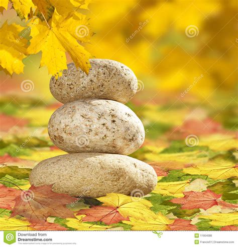Zen Stones Of Autumn Leaves Stock Photo Image Of Balanced Nature