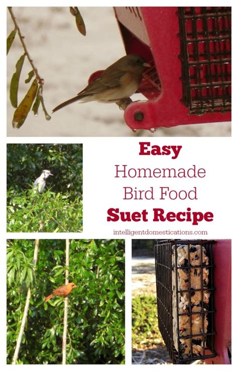 Roll into balls and place on a feeder or place in a suet cage. Easy Homemade Bird Suet Recipe | Intelligent Domestications