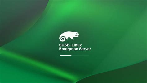 Suse Linux Enterprise Server Per Applicazioni Sap Supporta I Sistemi