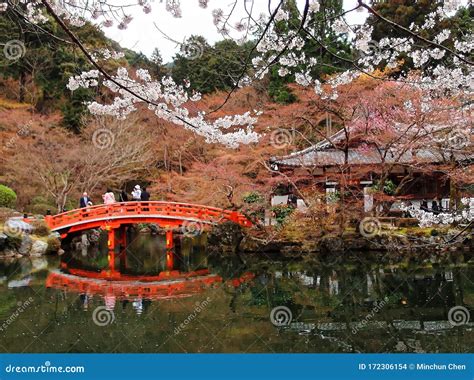 Beautiful Scenery Of Cherry Blossom Trees And A Red Arch Bridge Over A