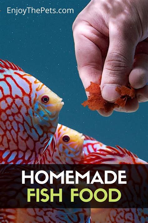 Homemade Fish Food A Complete Diy Fish Food Guide Enjoy The Pets