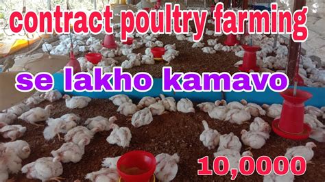 Contract Poultry Farming Profit Suguna Contract Poultry Farming