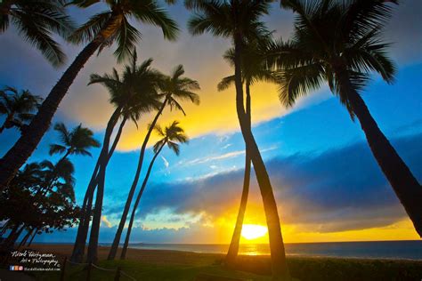 Maui Sunset Hawaii Photo Palm Trees Tropical Scenery Ocean Photography