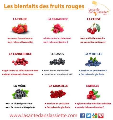 La Santé Dans Lassiette Fiche Pratique Les Bienfaits Des Fruits Rouges