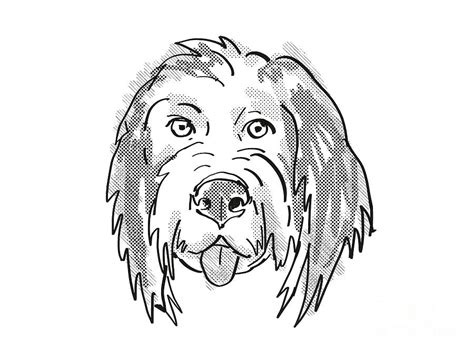 German shepherd ( @juniortherottweiler) 2. Bernedoodle Or Bernese Mountain Poo Dog Breed Cartoon ...