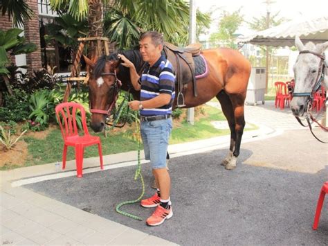 Petting Zoo Malaysia Pony Ride Services Malaysia