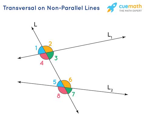 35 Angles And Parallel Lines Worksheet Support Worksheet