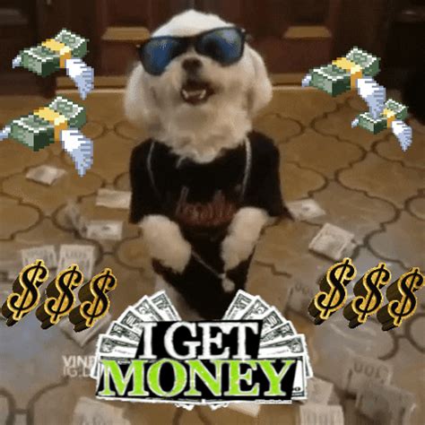 Make your own images with our meme generator or animated gif maker. Dog Money GIFs - Find & Share on GIPHY
