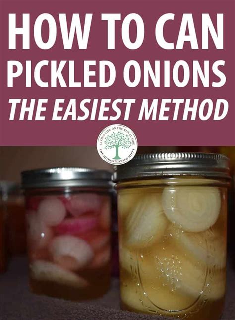 They taste exceptionally delicious when added to salads, sandwiches, and tacos! How to Can Pickled Onions - The Easiest Method * The ...