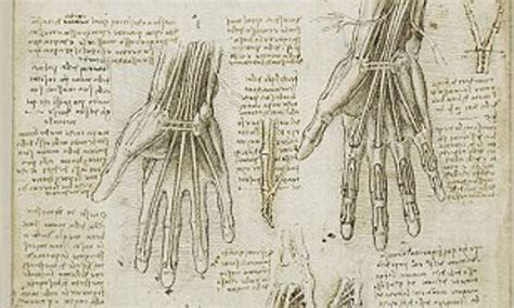 Leonardo Da Vinci Anatomy Tattoo Tattoos Gallery