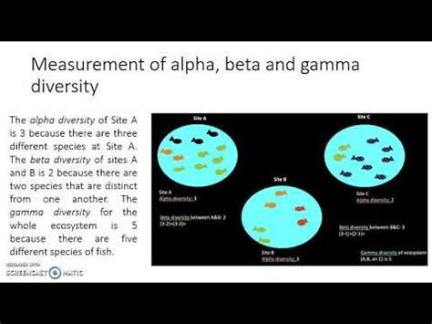 Measurement Of Alpha Beta And Gamma Diversity Lesson 15 Genetic