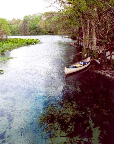 Wekiwa Springs Double Kayak Canoe Rental Kayak Rentals Camping