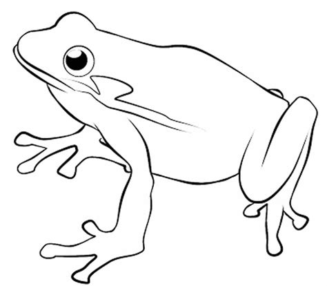 Frog Coloring Pages To Print At Free Printable