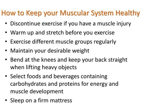 How To Keep The Muscular System Healthy Middlecrowd3