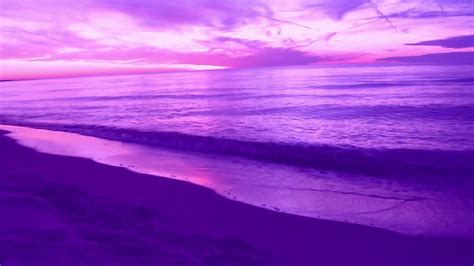 Purple Filter Wave Sounds On Shore Asmr Youtube