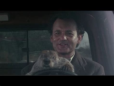 Havahart recommends sullying a new trap to. KILL THE GROUNDHOG!!! - YouTube