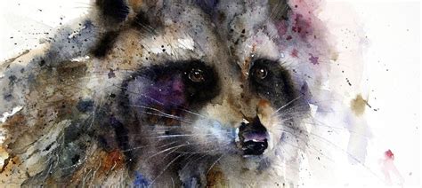 Raccoon Art Canvas Prints And Wall Art Icanvas