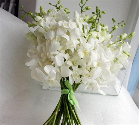 Orchids Wedding Arrangements Classic White Orchid Toss Bouquet For