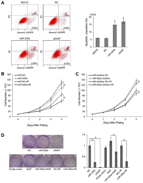 mir 320a induces the apoptosis and suppresses proliferation under ir download scientific