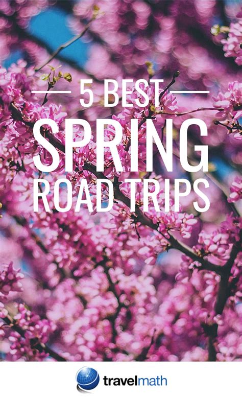 5 Best Spring Road Trips To Take Road Trip Spring How To Plan